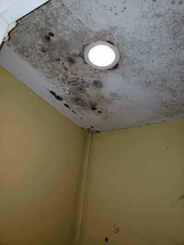 Mold on the Ceiling - Signs of Water Damage on Ceiling