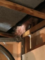 Shower Drain Pipe Leak in Florham Park, NJ
