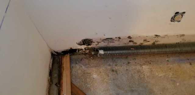 Before & After – testing page-Northeast Power Dry Before & After – testing page