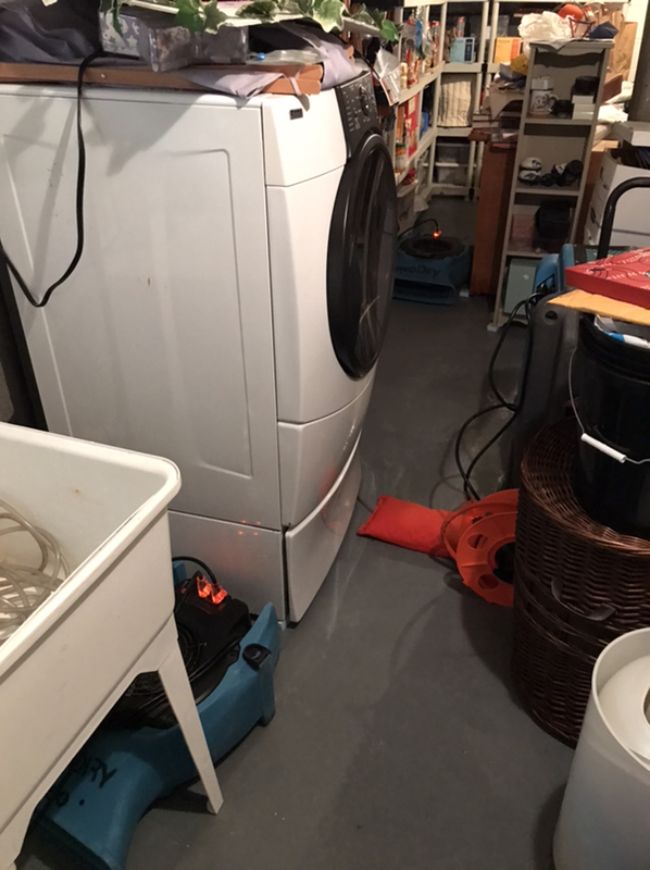 Sewer Back Up in the Unfinished Basement in Maplewood, NJ