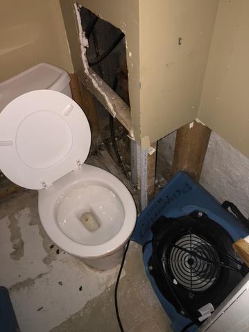 Sewer Backup in Hillside