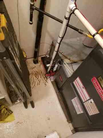 Sprinkler Break in Attic in Manasquan, NJ