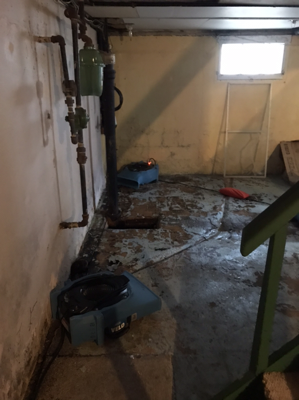 Sewer Back Up in the Basement in Avenel, NJ