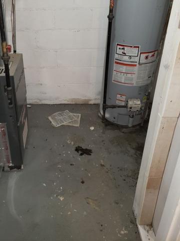 Before & After - Northeast Power Dry Before & After