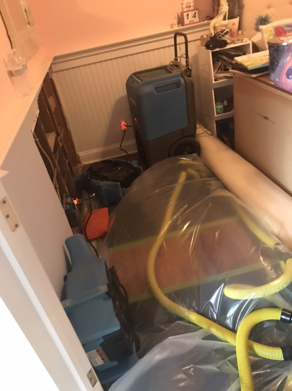 Shower Diverter Leak in Belmar, NJ