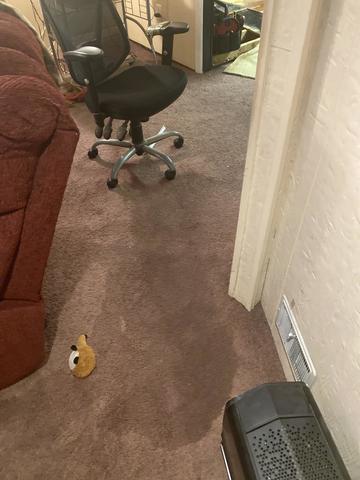 Sewer Backup in Carteret, NJ