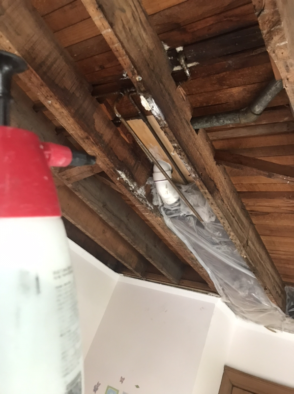 Bathroom Waste Line Leak in Summit, NJ - Northeast Power Dry Bathroom Waste Line Leak in Summit, NJ