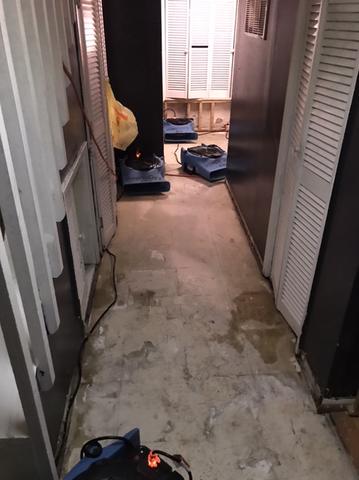 Sewer Backup in Hillside