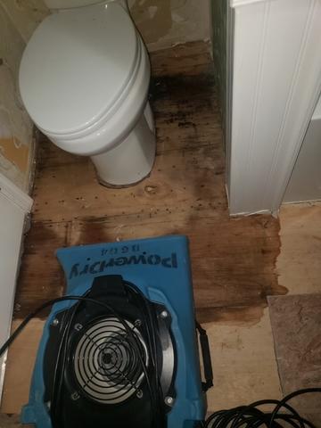 Toilet Leak in Jamesburg, NJ - Northeast Power Dry Toilet Leak in Jamesburg, NJ