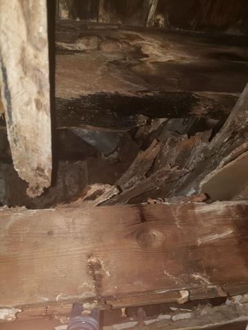 Drain Line Leak in Ridgewood, NJ