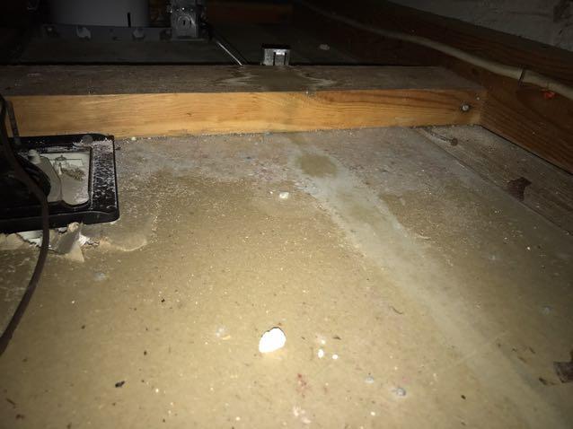 Pipe Break Clean Up in Hampton, NJ