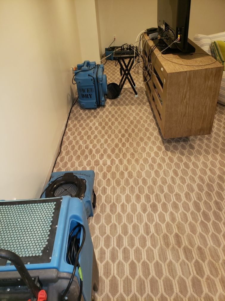 Shower  Drain Line Failure in Chatham, NJ