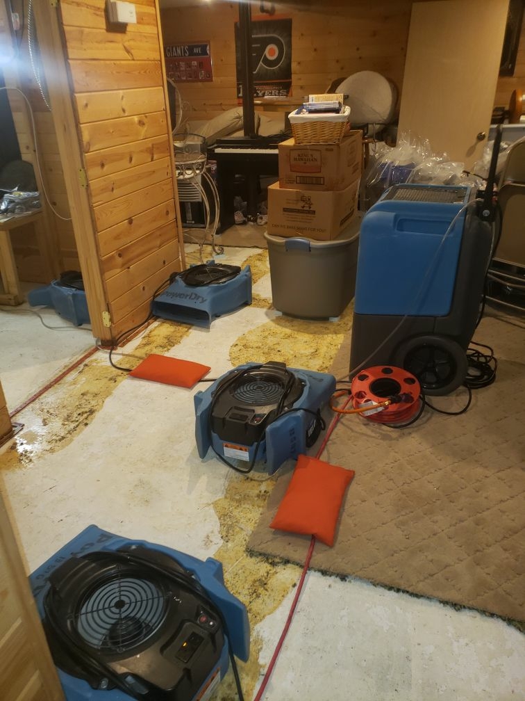Sewer Back Up in the Basement in West Long Branch, NJ
