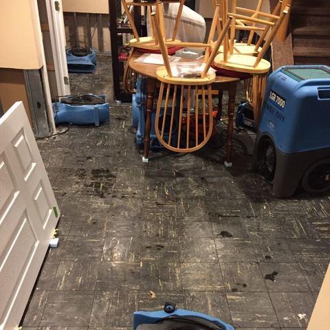 Basement Sewer Backup in Union, NJ