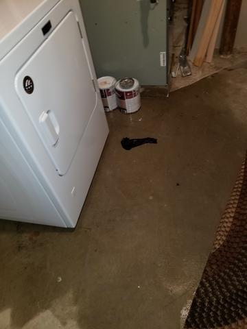 Pipe Burst in Monmouth Junction, NJ