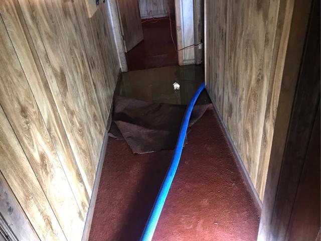 Sump Pump Failure in Mountainside