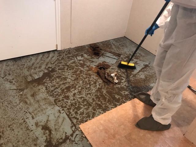 Before & After-Northeast Power Dry Before & After