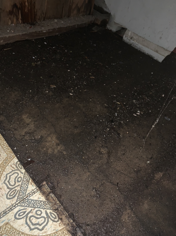 Before & After – testing page-Northeast Power Dry Before & After – testing page