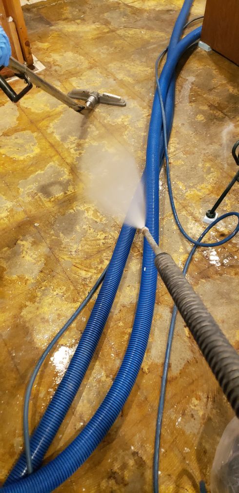 Sewer Backup in Cranford, NJ