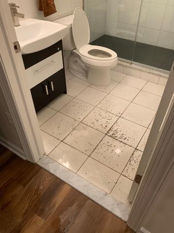 Before & After - Northeast Power Dry Before & After