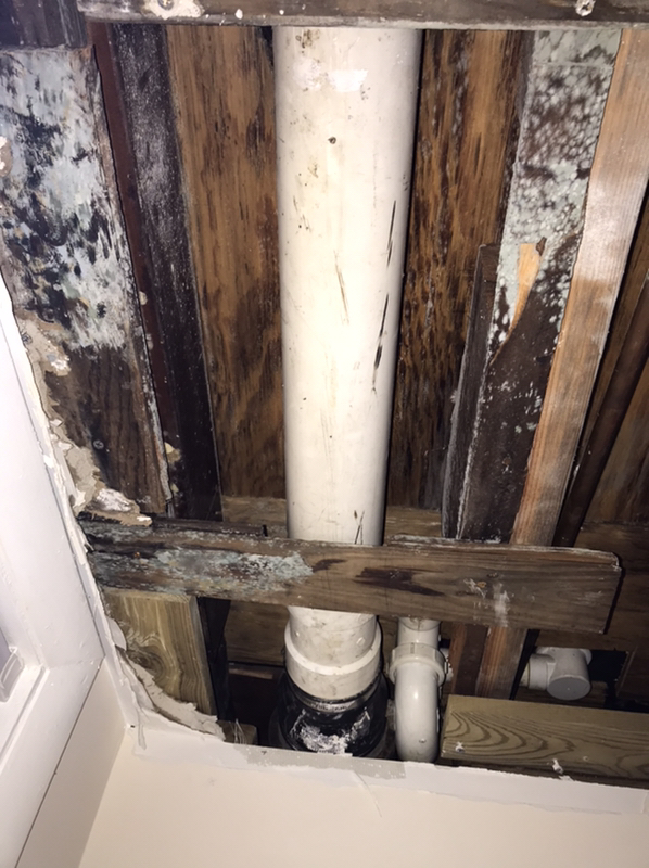 Water and Mold Damage in the Bathroom in Jersey City, NJ