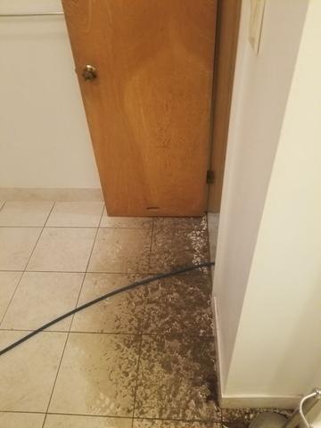 Sewer Backup in Highland Park, NJ