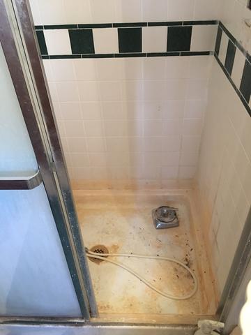 Frozen Pipe Break in Livingston, NJ